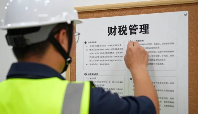 项目执行中的风险控制策略与适用条件分析